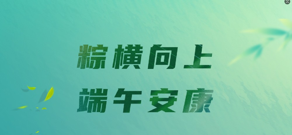 端午节丨粽横向上，端午安康